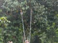 Tn DSC 4314